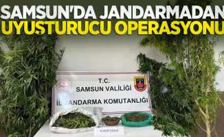 Samsun'da jandarmadan uyuşturucu operasyonu