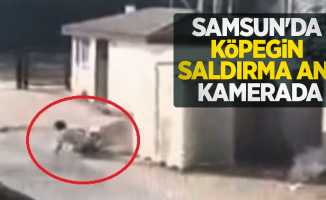 Samsun'da köpeğin saldırma anı kamerada