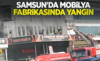 Samsun'da mobilya fabrikasında yangın