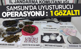 Samsun'da uyuşturucu operasyonu :1 gözaltı