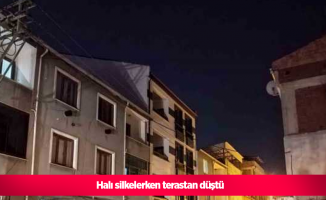 Halı silkelerken terastan düştü