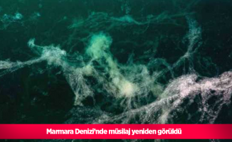 Marmara Denizi’nde müsilaj yeniden görüldü