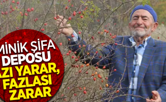 Minik şifa deposu azı yarar, fazlası zarar