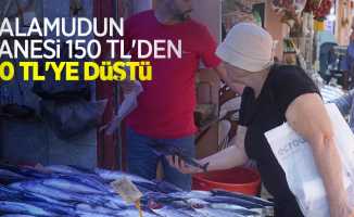 Palamudun tanesi 150 TL’den 80 TL’ye düştü