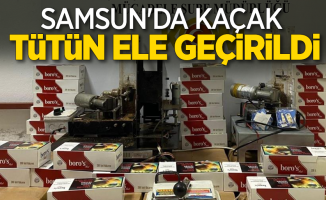 Samsun'da kaçak tütün ele geçirildi