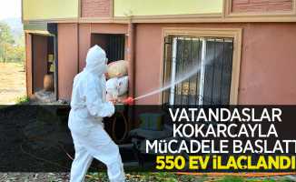 Vatandaşlar kokarcayla mücadele başlattı, 550 ev ilaçlandı