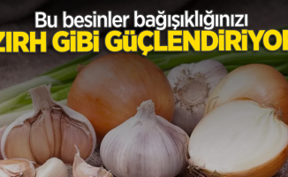 Bu besinler bağışıklığı zırh gibi güçlendiriyor