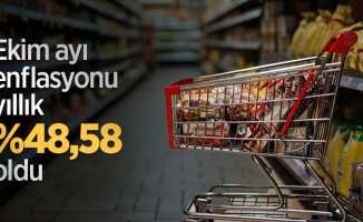 Ekim ayı enflasyonu yıllık yüzde 48,58 oldu