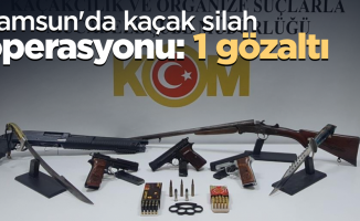 Samsun'da kaçak silah operasyonu:1 gözaltı