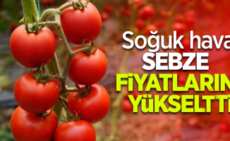 Soğuk hava sebze fiyatlarını yükseltti