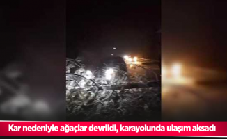 Kar nedeniyle ağaçlar devrildi, karayolunda ulaşım aksadı