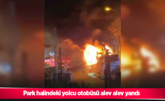 Park halindeki yolcu otobüsü alev alev yandı