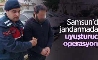 Samsun'da jandarmadan uyuşturucu operasyonu