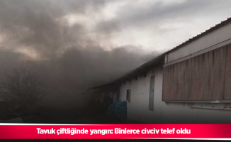 Tavuk çiftliğinde yangın: Binlerce civciv telef oldu