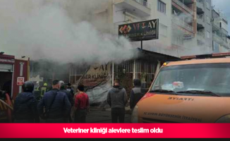 Veteriner kliniği alevlere teslim oldu