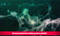 Marmara Denizi’nde müsilaj yeniden görüldü