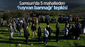 Samsun#039;da 5 mahalleden ‘hayvan barınağı#039; tepkisi