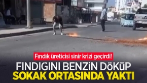 Fındık üreticisi sinir krizi geçirdi! Fındığını benzin döküp sokak ortasında yaktı