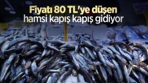 Fiyatı 80 TL#039;ye düşen hamsi kapış kapış gidiyor