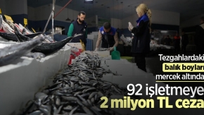 Tezgahlardaki balık boyları mercek altında: 92 işletmeye 2 milyon TL ceza