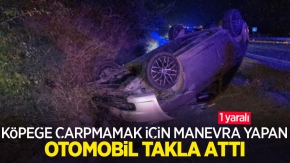 Köpeğe çarpmamak için manevra yapan otomobil takla attı: 1 yaralı