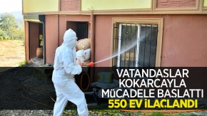 Vatandaşlar kokarcayla mücadele başlattı, 550 ev ilaçlandı