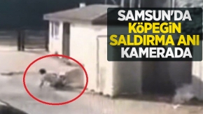 Samsun'da köpeğin saldırma anı kamerada