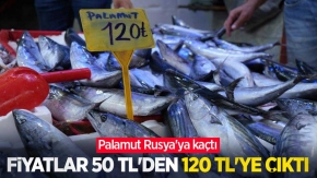 Palamut Rusya'ya kaçtı, fiyatlar 50 TL'den 120 TL'ye çıktı