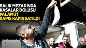 Balık mezadında kasalar dolusu palamut kapış kapış satıldı