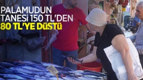 Palamudun tanesi 150 TL’den 80 TL’ye düştü