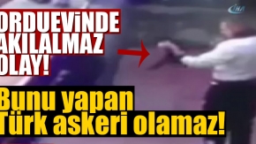 Orduevinde kediye işkence