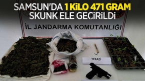 Samsun'da 1 kilo 471 gram skunk ele geçirildi