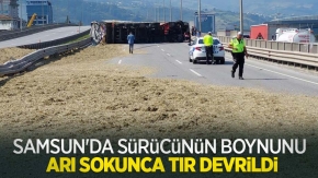 Samsun'da sürücünün boynunu arı sokunca tır devrildi