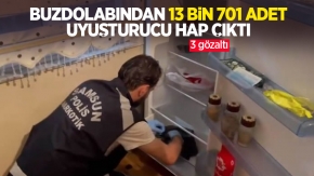 Buzdolabından 13 bin 701 adet uyuşturucu hap çıktı: 3 gözaltı